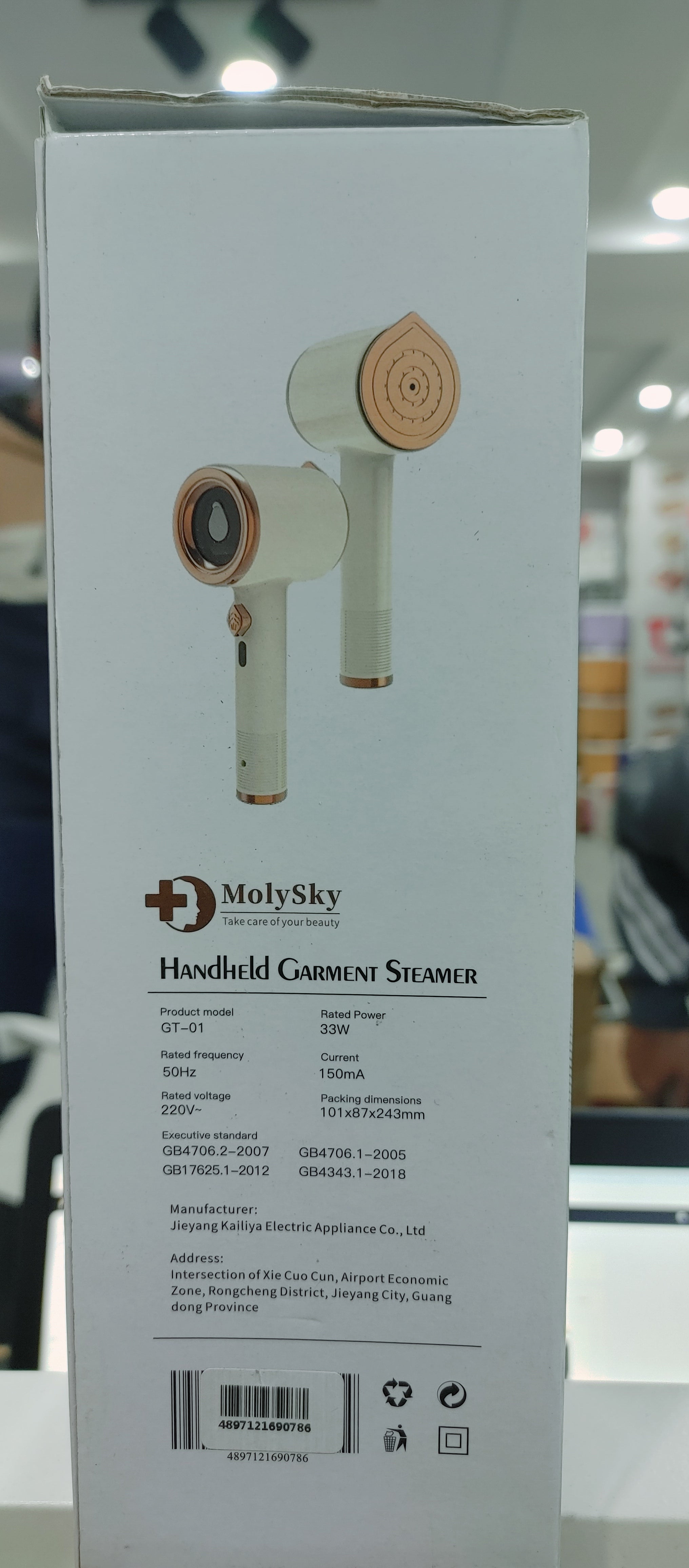 Handheld Garments Steamer Smart