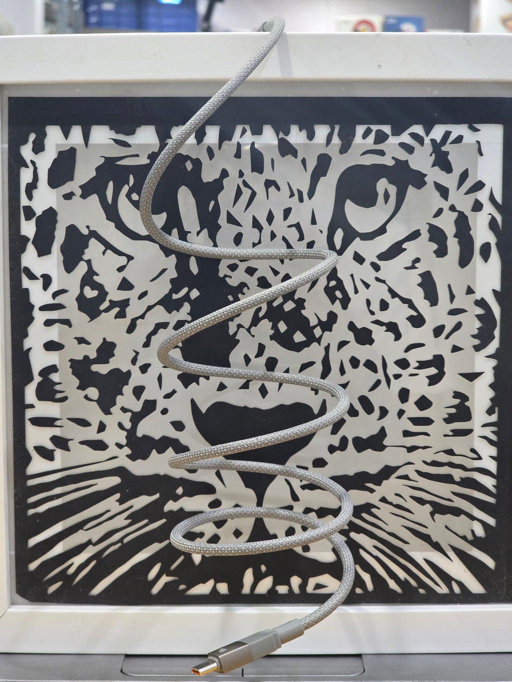 WEKOME WDC-46 65W PD USB-C to Type-C Fast Charging Magnetic Cable for Mobile, Laptop & Tablet (1m)