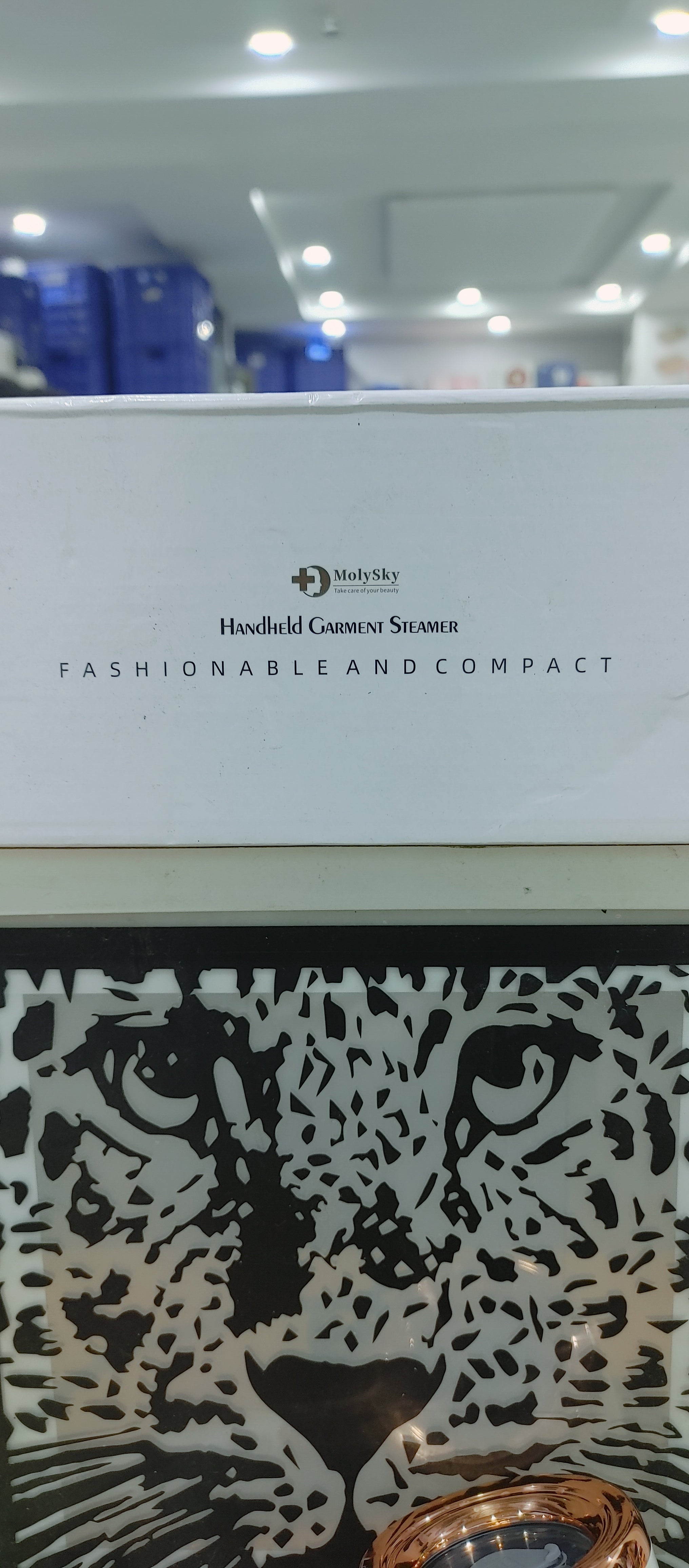 Handheld Garments Steamer Smart