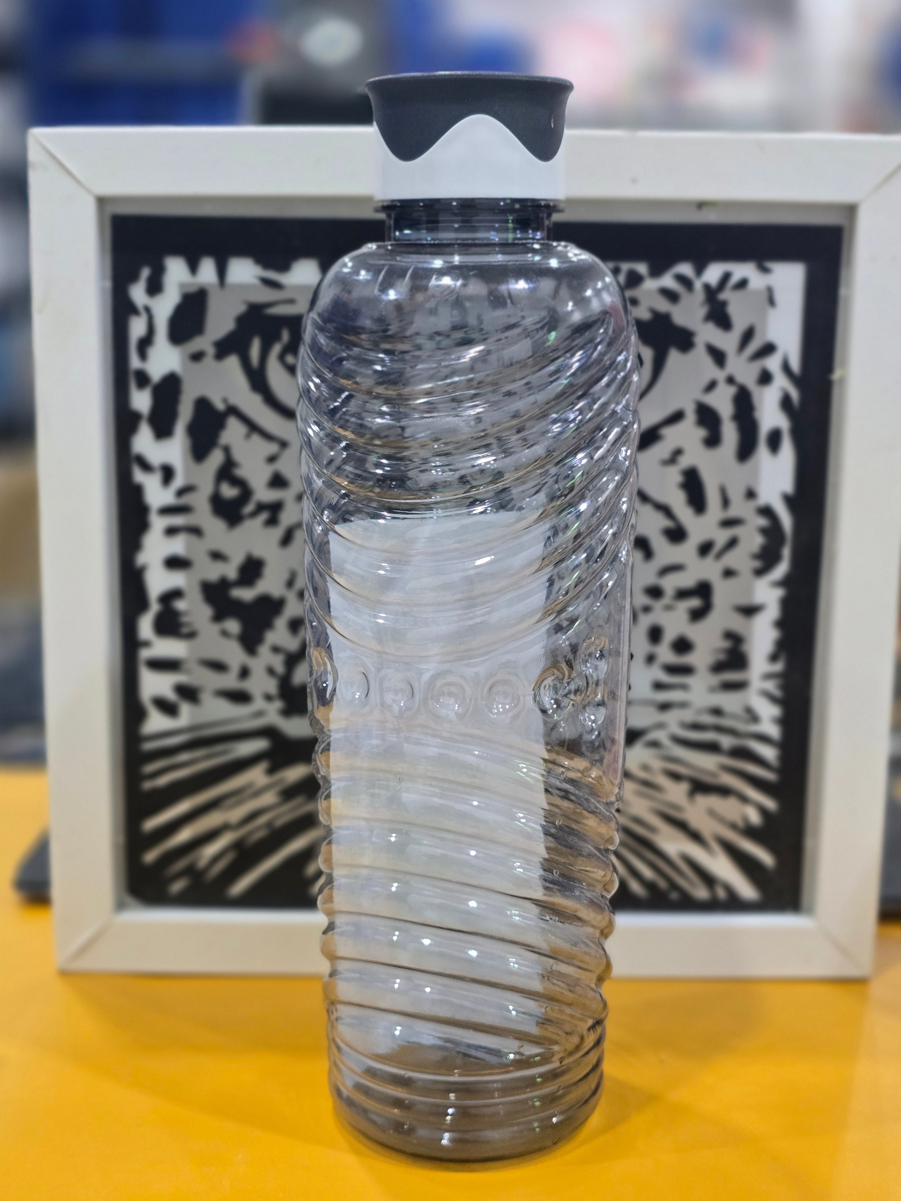Plastic 2 Pcs Set Water Bottle Set